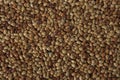 Horse Gram Lentils filling frame