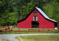 Horse Grazes in Front of Red Wooden Barn Royalty Free Stock Photo