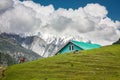 A horse grazing on the golden meadow of Sonamarg Royalty Free Stock Photo