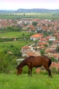 Horse grazing meadow above village Royalty Free Stock Photo