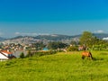 Horse grazing near Vigo