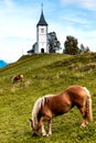 Horse Grazing at Picturesque  Church Of St Primoz.in Jamnik,Kamnik, Slovenia Royalty Free Stock Photo