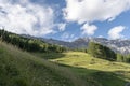 Horses grazing in the high mountains, Valtellina, Italy Royalty Free Stock Photo