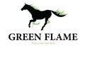 Horse green flames logo Royalty Free Stock Photo