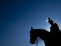 Horse Guard in the night Royalty Free Stock Photo