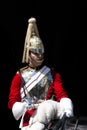 Horse Guard at Whitehall