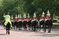 Horse Guards Royalty Free Stock Photo