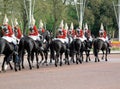 Horse Guards Royalty Free Stock Photo