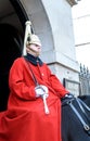 Horse Guards Calvary Soldier London Royalty Free Stock Photo