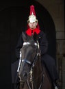 Horse Guards Soldier on horseback