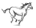 Horse. Hand-drawn Royalty Free Stock Photo