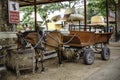 A horse harness provides visitors with a ride in the zoo of a sheep farm in Pattaya