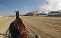 Horse harness race 066 Royalty Free Stock Photo