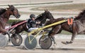 Horse harness race jockey detail