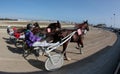 Horse harness race in mallorca hippodrome Royalty Free Stock Photo