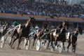 Horse harness race 005