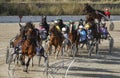 Horse harness race 024 Royalty Free Stock Photo