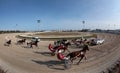 Horse harness race wide view