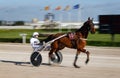 Horse harness racing in palma de mallorca hippodrome panning Royalty Free Stock Photo
