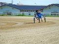 Horse harness racing in Ploiesti, Romania