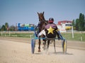 Horse harness racing in Ploiesti, Romania