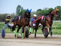 Horse harness racing in Ploiesti, Romania