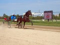 Horse harness racing in Ploiesti, Romania