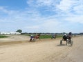 Horse harness racing in Ploiesti, Romania