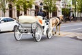 horse harnessed to a carriage, riding a horse. Kazan, Russia. Royalty Free Stock Photo