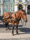 A horse harnessed to a carriage is waiting for tourists Royalty Free Stock Photo