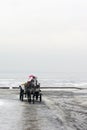 Horse harnessed to a carriage in winter Royalty Free Stock Photo