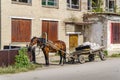 A horse harnessed to a cart near an abandoned building of the House of Culture in a Russian village