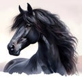 Horse. Head. Black Stallion. Portrait. Watercolor paint. Isolated illustration on a white background. Banner. Close-up Royalty Free Stock Photo