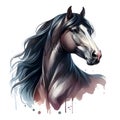 Horse. Head. Black Stallion. Portrait. Watercolor paint. Isolated illustration on a white background. Banner. Close-up Royalty Free Stock Photo
