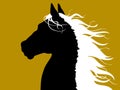 Horse head - black and white Royalty Free Stock Photo