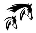 Horse head black and white vector Royalty Free Stock Photo