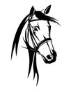 Horse head with bridle black vector outline