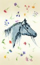 Horse head with bridle silhouette hand drawing watercolor with wild flowers on aged paper. Royalty Free Stock Photo