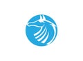Horse head in circle steed or mare for logo design illustration on white background Royalty Free Stock Photo
