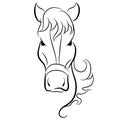 Horse Head Drawing Royalty Free Stock Photo
