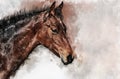 Horse Head, Farm Animal Isolated. Watercolor Background Illustration Set. Isolated Horse Illustration Element