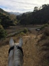 Horse head with gorgeous view through the canyon Royalty Free Stock Photo