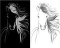 Horse head graphic drawing Royalty Free Stock Photo
