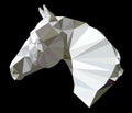 Horse head Royalty Free Stock Photo