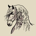 Horse head with a mane. Hand drawn vector.