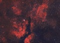 Horse head nebulae, IC 434 Royalty Free Stock Photo