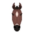 Horse head in pixel art style. Royalty Free Stock Photo