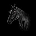 Horse head portrait on black background, hand drawn sketch Royalty Free Stock Photo