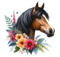 Horse head. Portrait. Brown Horse. Flowers. Watercolor. Isolated illustration on a white background. Banner. Close-up Royalty Free Stock Photo