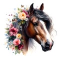 Horse head. Portrait. Brown Horse. Flowers. Watercolor. Isolated illustration on a white background. Banner. Close-up Royalty Free Stock Photo